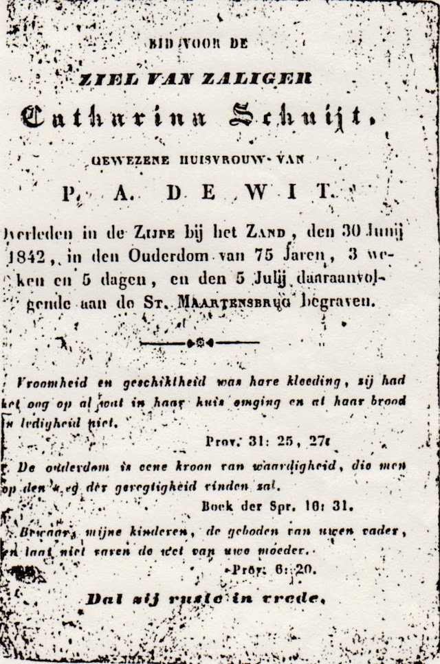 Pieter Adamsz de Wit